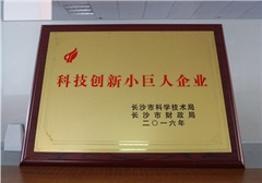 【喜報(bào)】新光智能榮獲長沙市首批“科技創(chuàng)新小巨人企業(yè)”獎